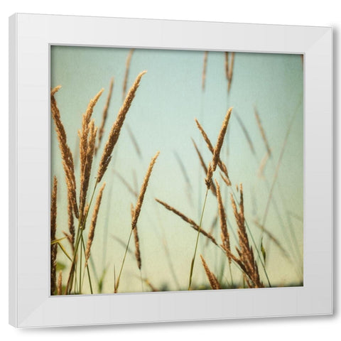Steppe Carpet 2 White Modern Wood Framed Art Print by Poinski, Dianne