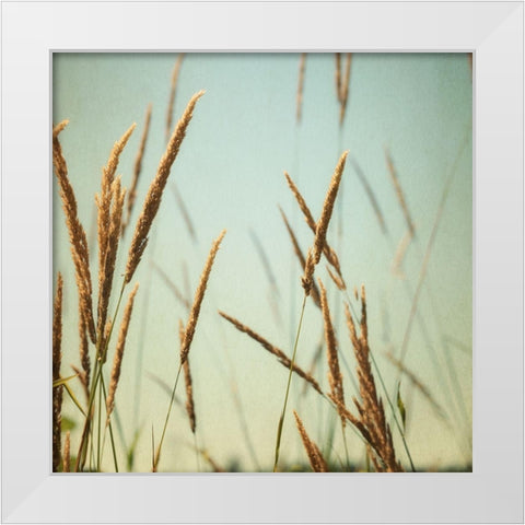 Steppe Carpet 2 White Modern Wood Framed Art Print by Poinski, Dianne