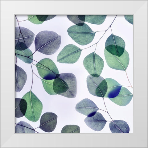 Vibrant Leaves 2 White Modern Wood Framed Art Print by Poinski, Dianne
