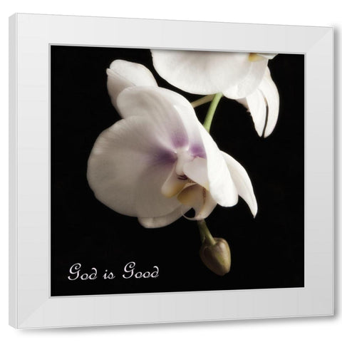 Good Orchids White Modern Wood Framed Art Print by Poinski, Dianne
