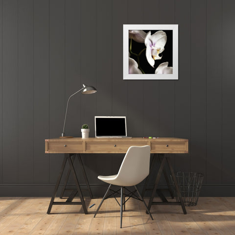 Delicate White Orchids 3 White Modern Wood Framed Art Print by Poinski, Dianne