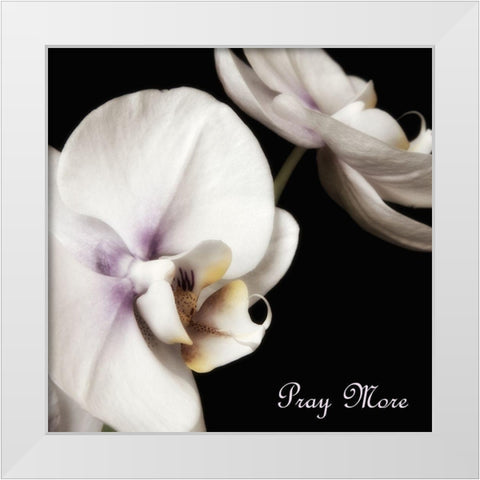 Pray Orchids White Modern Wood Framed Art Print by Poinski, Dianne