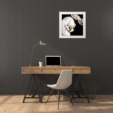 Delicate White Orchids 4 White Modern Wood Framed Art Print by Poinski, Dianne
