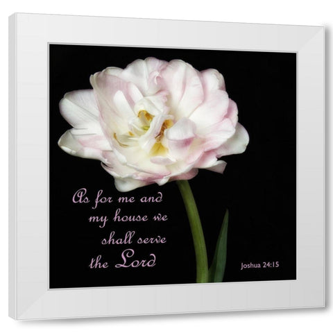 Joshua Peony White Modern Wood Framed Art Print by Poinski, Dianne