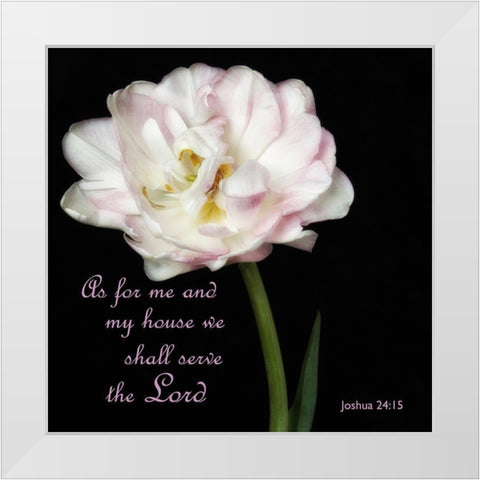 Joshua Peony White Modern Wood Framed Art Print by Poinski, Dianne
