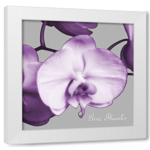 Thankful Orchids White Modern Wood Framed Art Print by Poinski, Dianne
