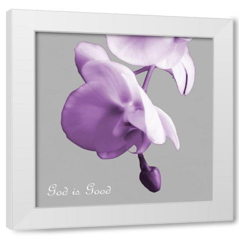 Godly Good Orchids White Modern Wood Framed Art Print by Poinski, Dianne