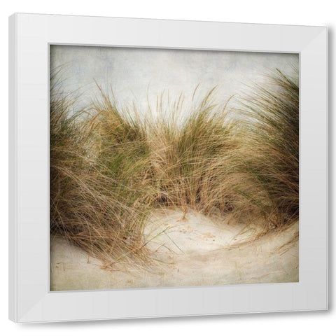 Beach Grasses 1 White Modern Wood Framed Art Print by Poinski, Dianne