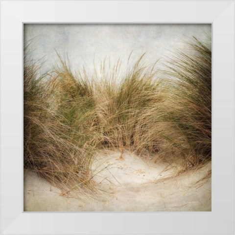 Beach Grasses 1 White Modern Wood Framed Art Print by Poinski, Dianne