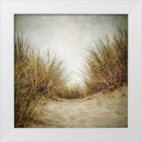 Beach Grasses 2 White Modern Wood Framed Art Print by Poinski, Dianne