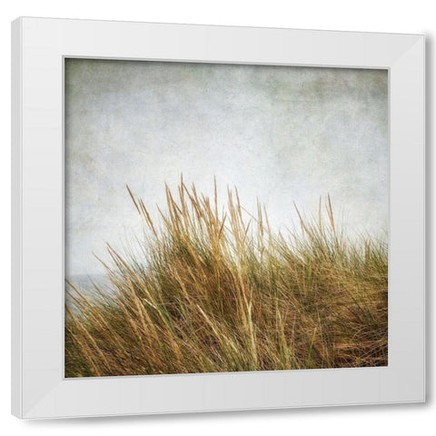 Beach Grasses 3 White Modern Wood Framed Art Print by Poinski, Dianne