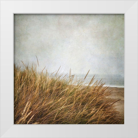 Beach Grasses 4 White Modern Wood Framed Art Print by Poinski, Dianne