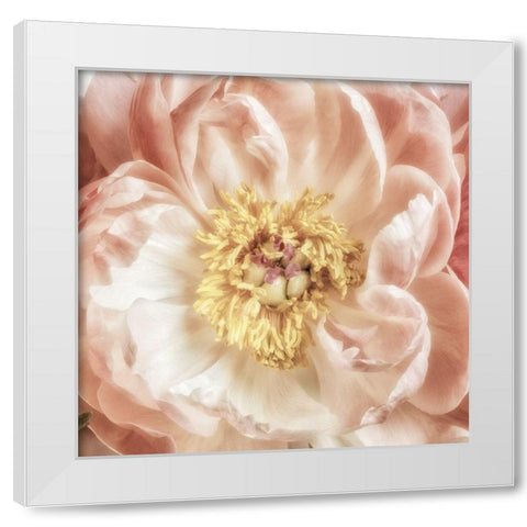 Exuberant Bloom 1 White Modern Wood Framed Art Print by Poinski, Dianne