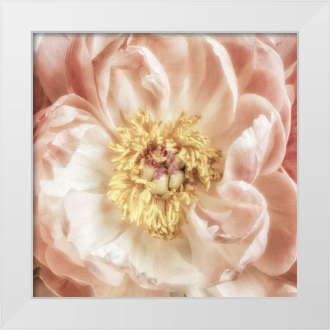 Exuberant Bloom 1 White Modern Wood Framed Art Print by Poinski, Dianne
