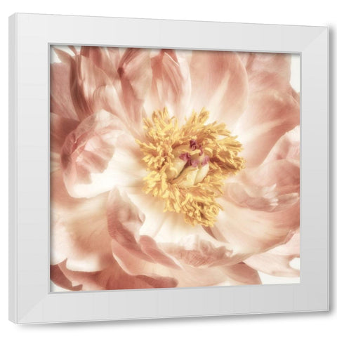 Exuberant Bloom 2 White Modern Wood Framed Art Print by Poinski, Dianne