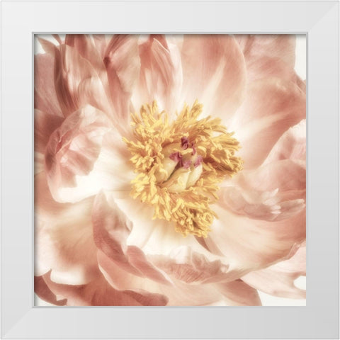 Exuberant Bloom 2 White Modern Wood Framed Art Print by Poinski, Dianne