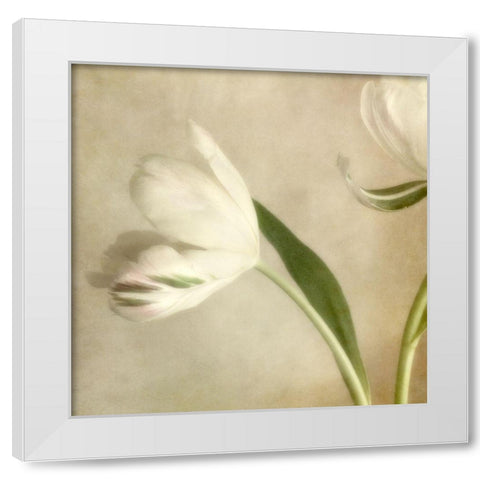 Ivory Blossom II White Modern Wood Framed Art Print by Poinski, Dianne