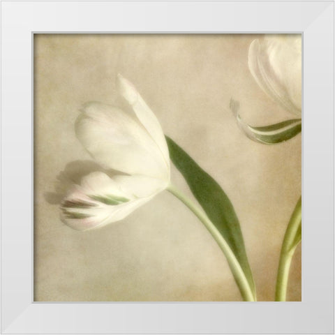 Ivory Blossom II White Modern Wood Framed Art Print by Poinski, Dianne