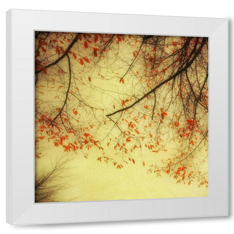 Autumn Red and Gold 2 White Modern Wood Framed Art Print by Poinski, Dianne