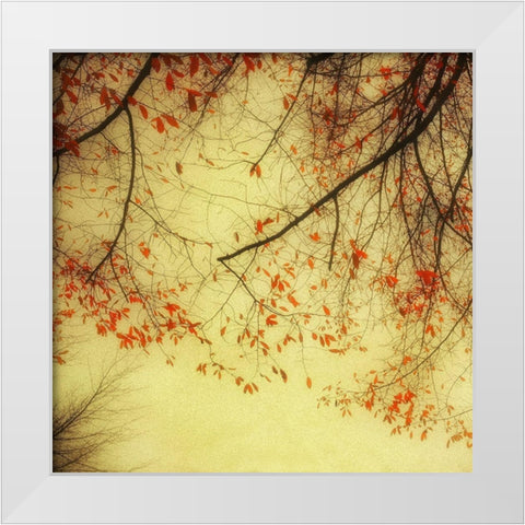 Autumn Red and Gold 2 White Modern Wood Framed Art Print by Poinski, Dianne