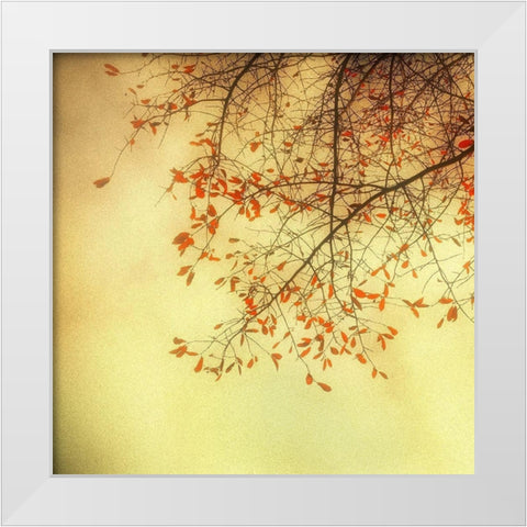 Autumn Red and Gold 3 White Modern Wood Framed Art Print by Poinski, Dianne