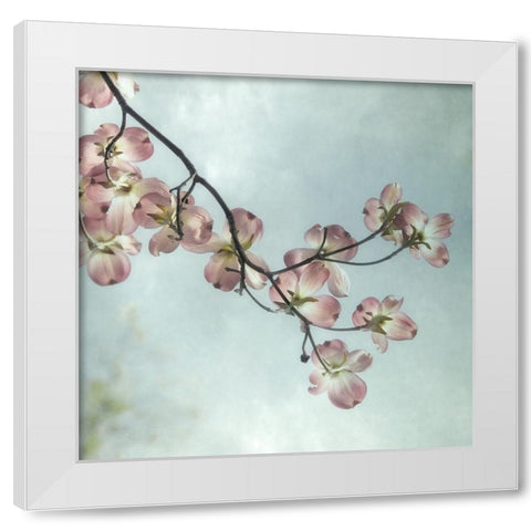 Pale Petals 1 White Modern Wood Framed Art Print by Poinski, Dianne