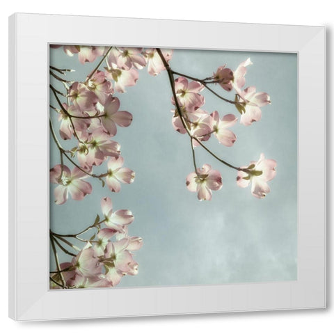 Pale Petals 2 White Modern Wood Framed Art Print by Poinski, Dianne