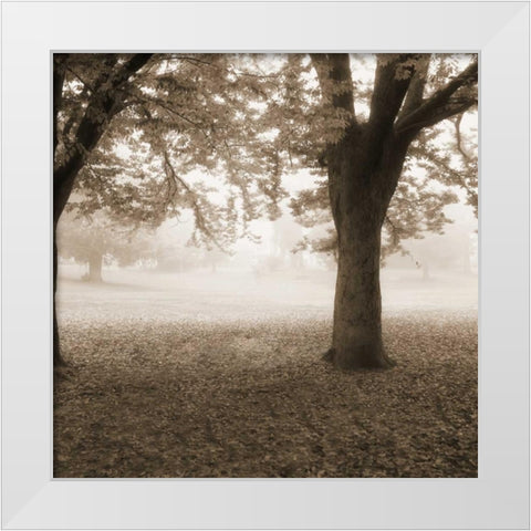 Eventide Park No Table White Modern Wood Framed Art Print by Poinski, Dianne