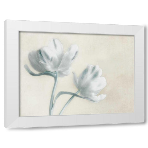 Blue Ivory Blossom 2 White Modern Wood Framed Art Print by Poinski, Dianne