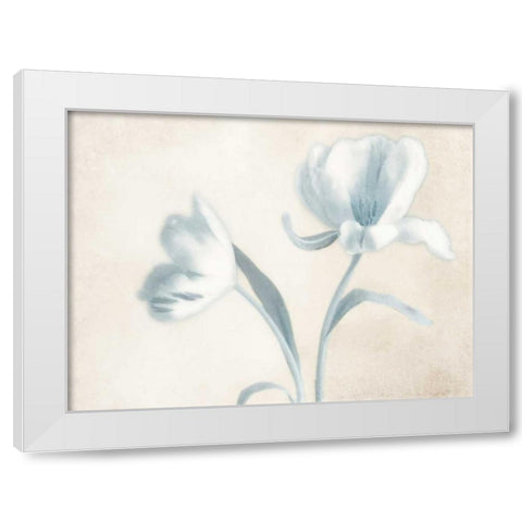 Whispering Sky 1 White Modern Wood Framed Art Print by Poinski, Dianne