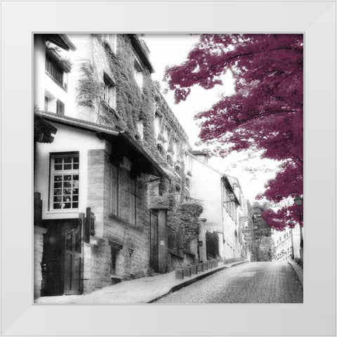 Eggplant Montmartre White Modern Wood Framed Art Print by Poinski, Dianne