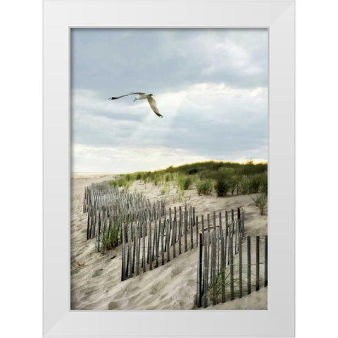 Dawning Seagull and Godbeams White Modern Wood Framed Art Print by Rowland, Joseph