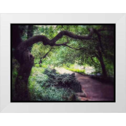 Central Park Tree White Modern Wood Framed Art Print by Rowland, Joseph
