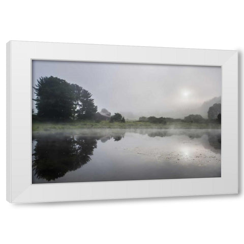 Glimmerglass White Modern Wood Framed Art Print by Rowland, Joseph
