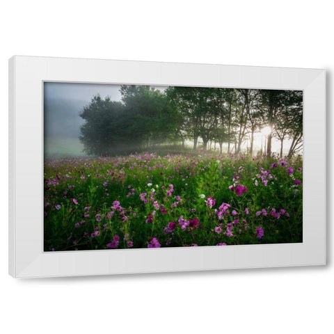 Flower Field White Modern Wood Framed Art Print by Rowland, Joseph