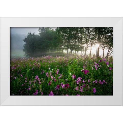 Flower Field White Modern Wood Framed Art Print by Rowland, Joseph