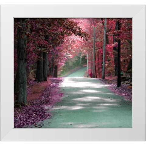 Forest Blush White Modern Wood Framed Art Print by De Carvalho, Sandro