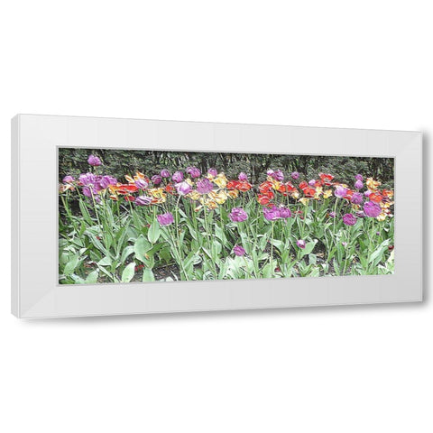 Take Your Pick White Modern Wood Framed Art Print by Ghanooni, Sarah