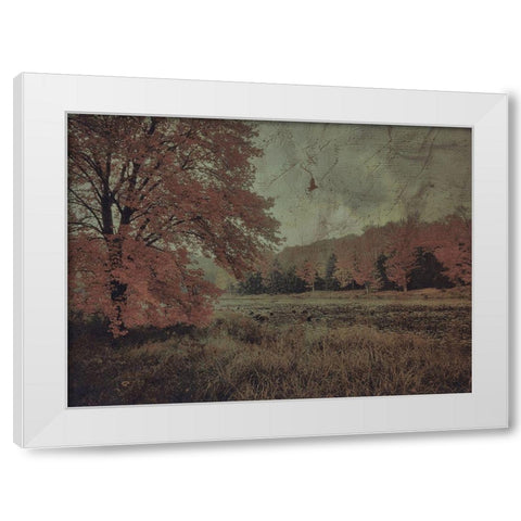 Fall In The Mist White Modern Wood Framed Art Print by Haynes, Smith