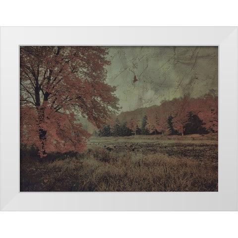 Fall In The Mist White Modern Wood Framed Art Print by Haynes, Smith