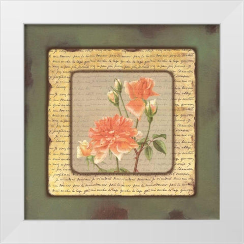 . White Modern Wood Framed Art Print by Haynes, Smith