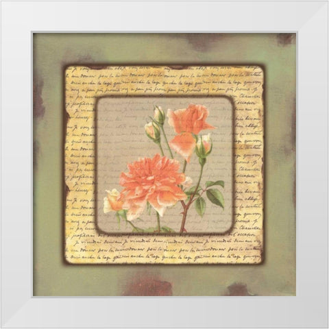 . White Modern Wood Framed Art Print by Haynes, Smith