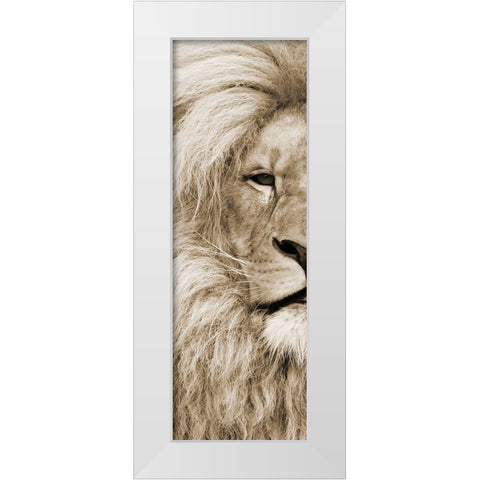 Left Eyed White Modern Wood Framed Art Print by Lewis, Sheldon