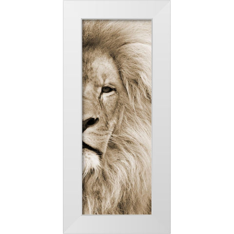 Right Eyed White Modern Wood Framed Art Print by Lewis, Sheldon