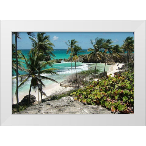 Tropical Beauty White Modern Wood Framed Art Print by Lewis, Sheldon