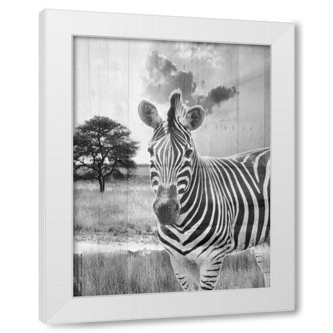 Safari White Modern Wood Framed Art Print by Lewis, Sheldon