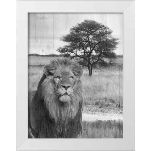Jungle King White Modern Wood Framed Art Print by Lewis, Sheldon