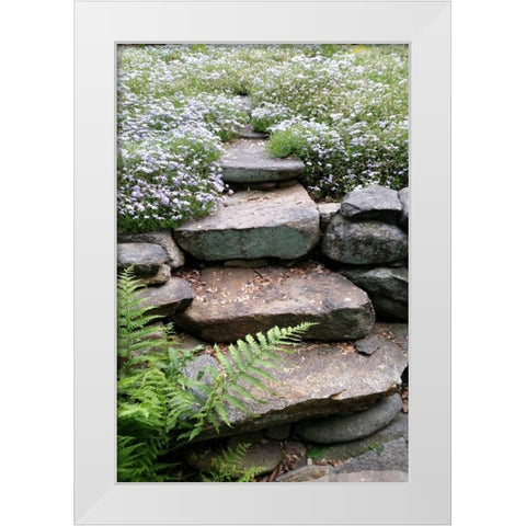 The Path White Modern Wood Framed Art Print by Lewis, Sheldon