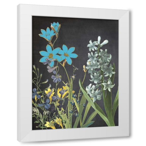 Fresh Meadow Bloom White Modern Wood Framed Art Print by Lewis, Sheldon
