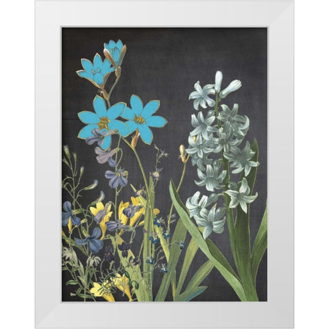 Fresh Meadow Bloom White Modern Wood Framed Art Print by Lewis, Sheldon